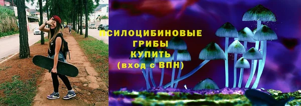 сатива Бугульма